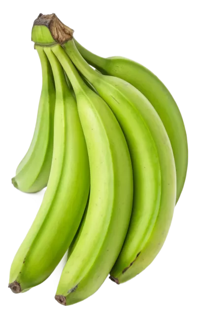 Imagen PNG para descargar